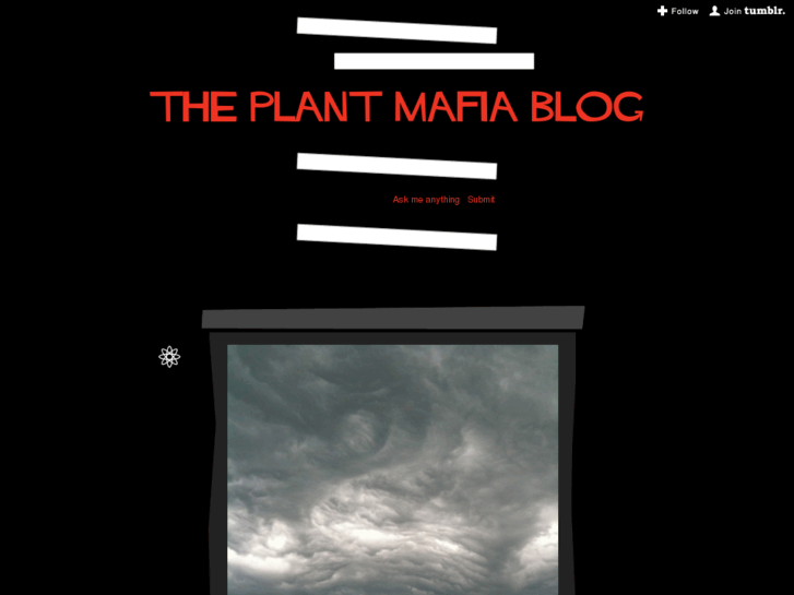 www.theplantmafiablog.com