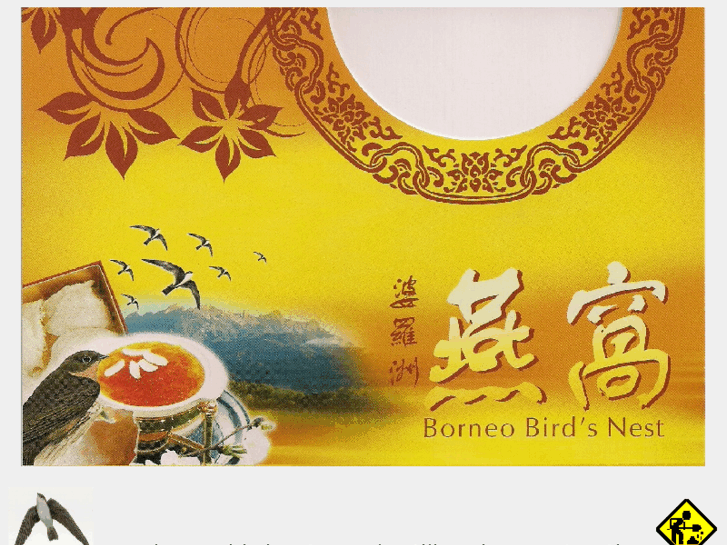 www.borneobirdnest.com