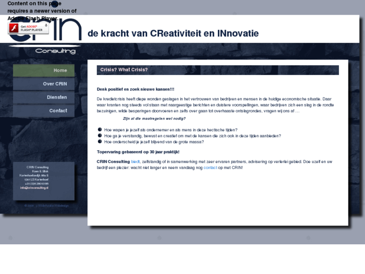 www.crin-consulting.com