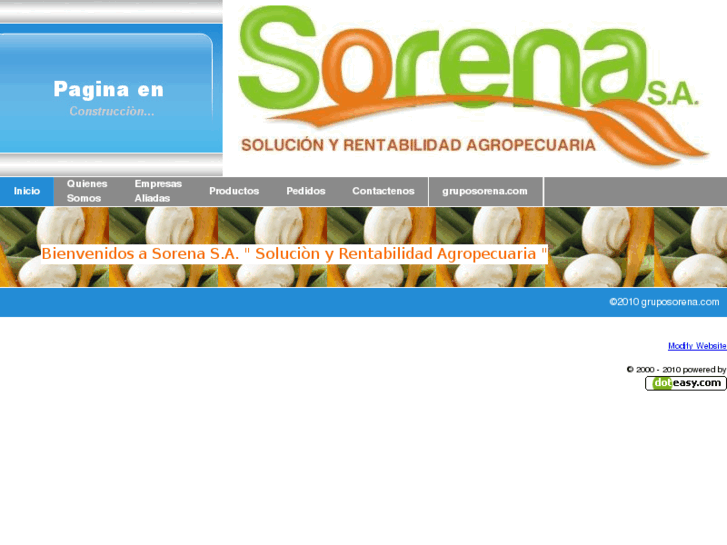 www.gruposorena.com