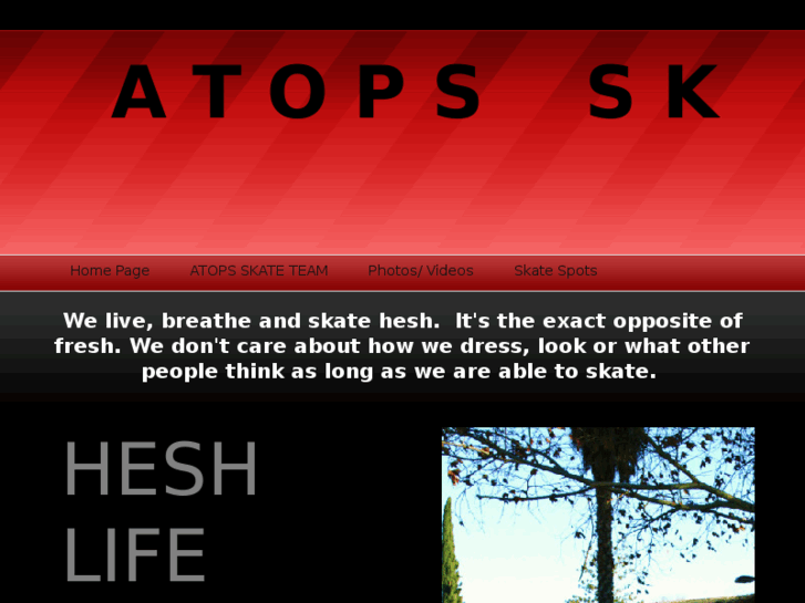 www.heshskaters.com