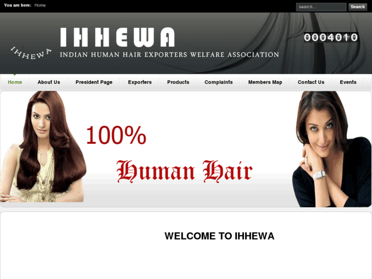 www.humanhair-b2b.com