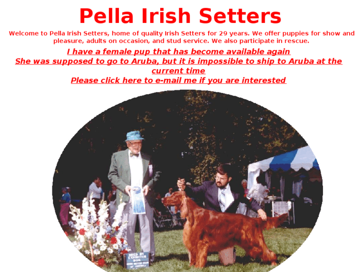 www.pellairishsetters.com