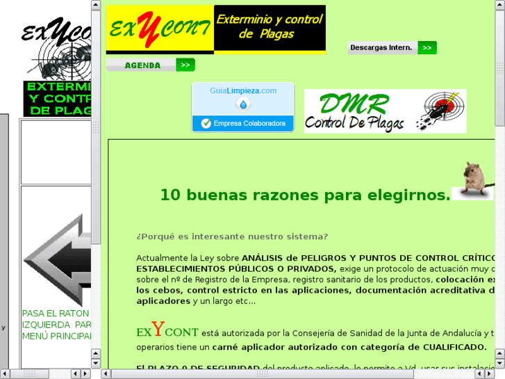www.exycont.es