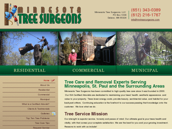 www.mntreesurgeons.com