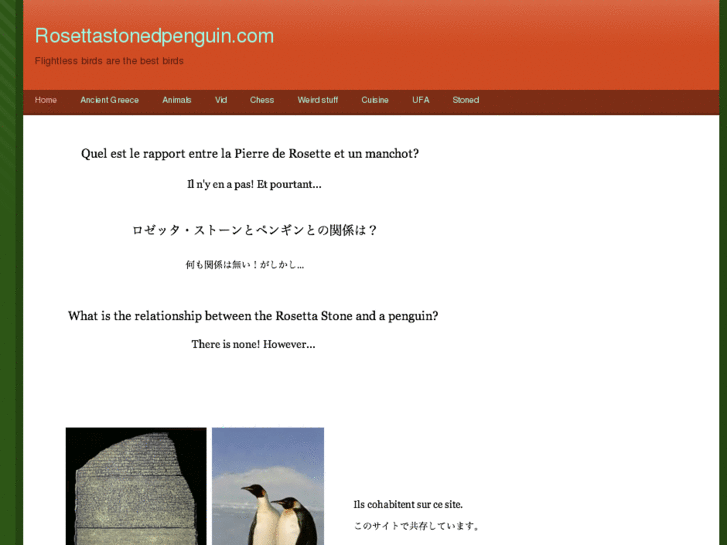 www.rosettastonedpenguin.com