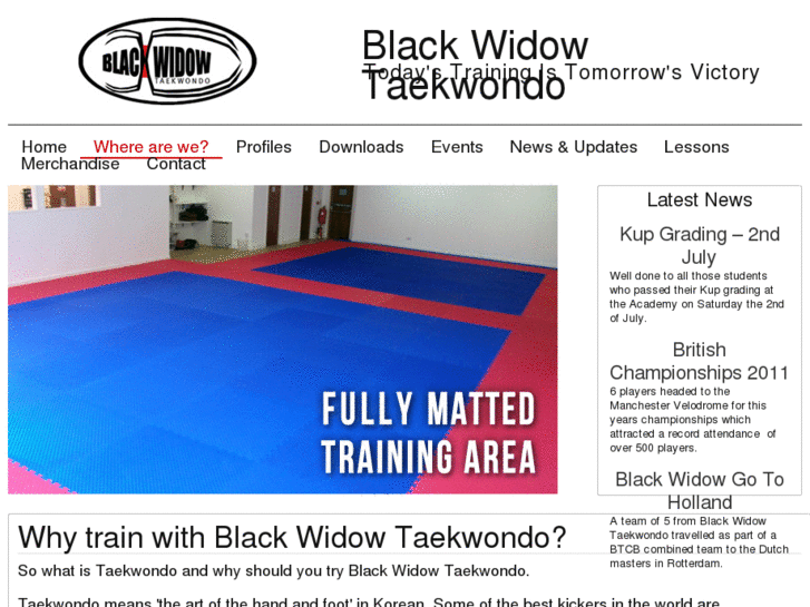 www.blackwidowtkd.com