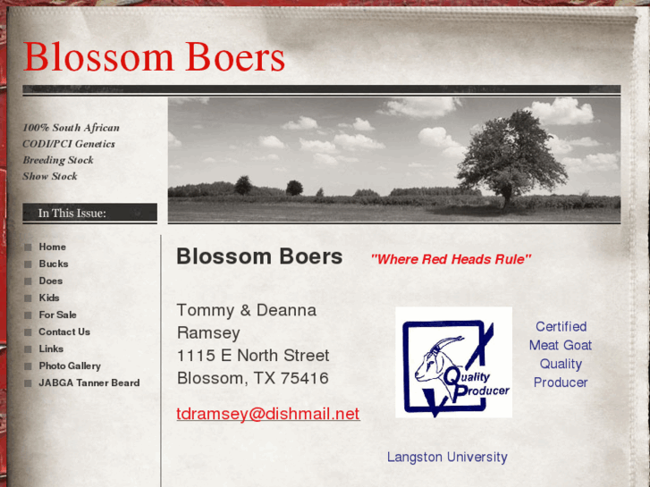 www.blossomboers.com