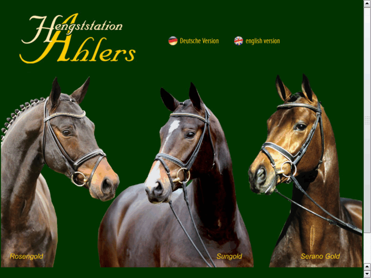 www.exclusive-horses.com