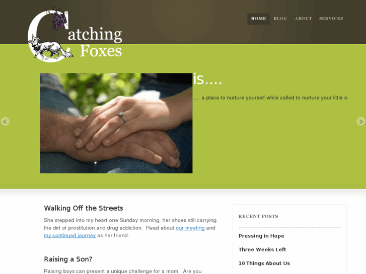 www.catchingfoxes.com