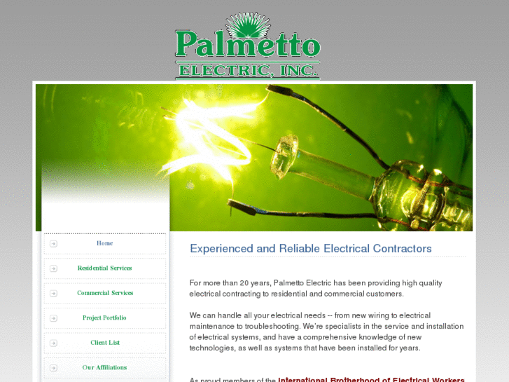 www.palmettoelectricinc.com