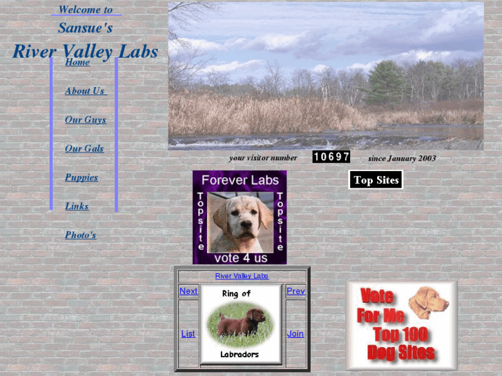 www.rivervalleylabs.com
