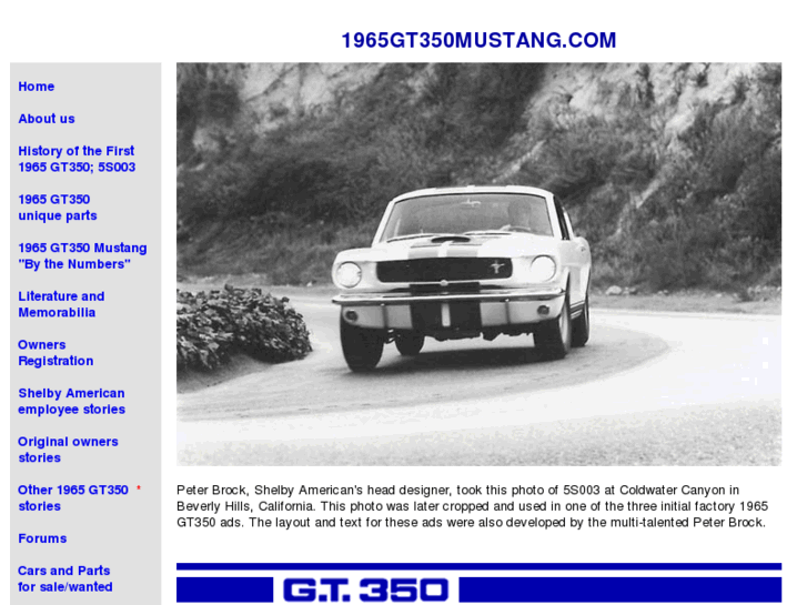 www.1965gt350mustang.com