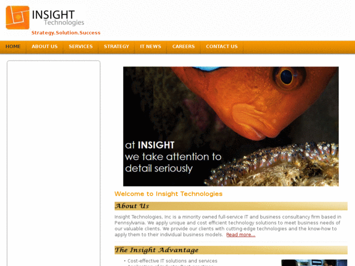 www.insighttech-inc.com