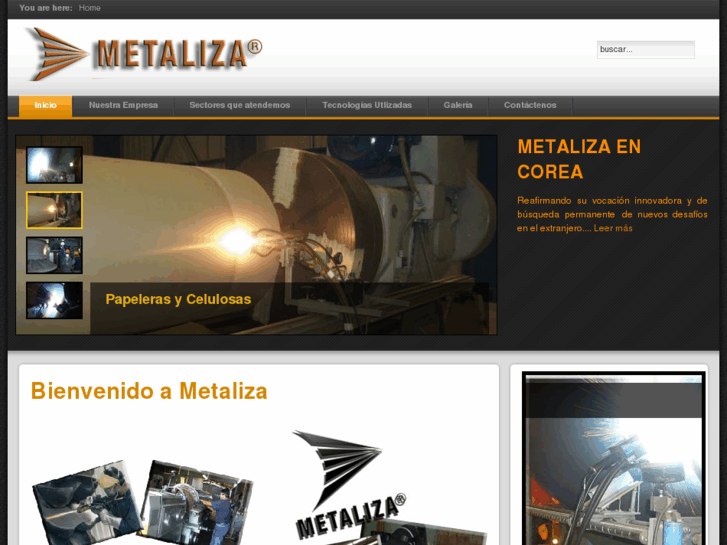 www.metaliza.com