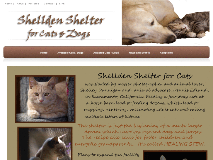 www.shelldenshelter.com