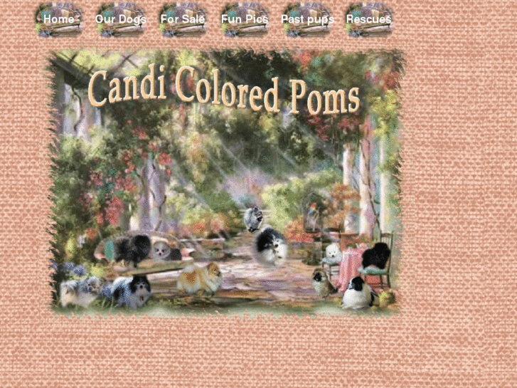 www.candicoloredpoms.com