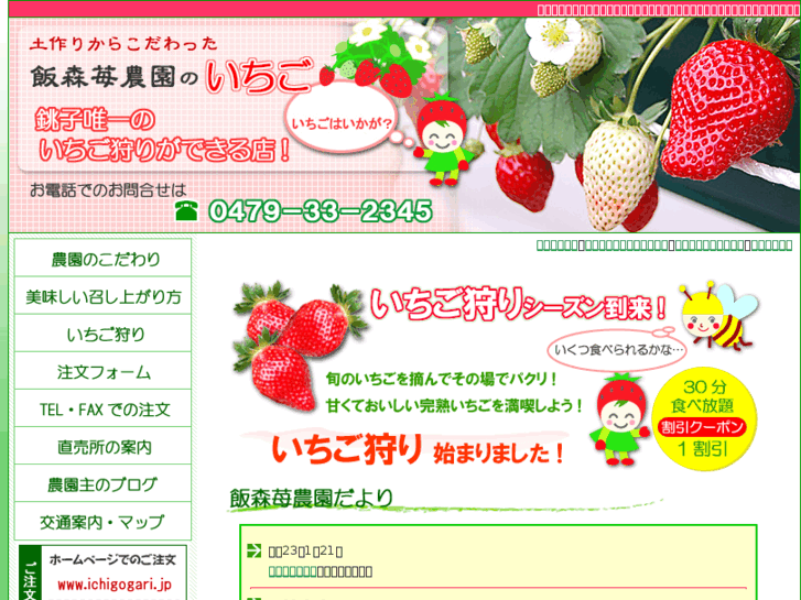 www.ichigogari.jp