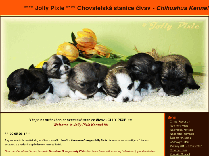 www.jollypixie.cz