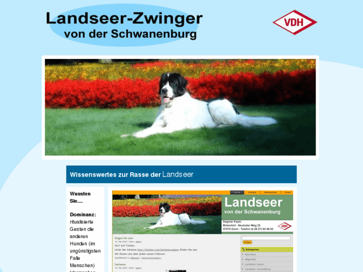 www.landseer-info.de