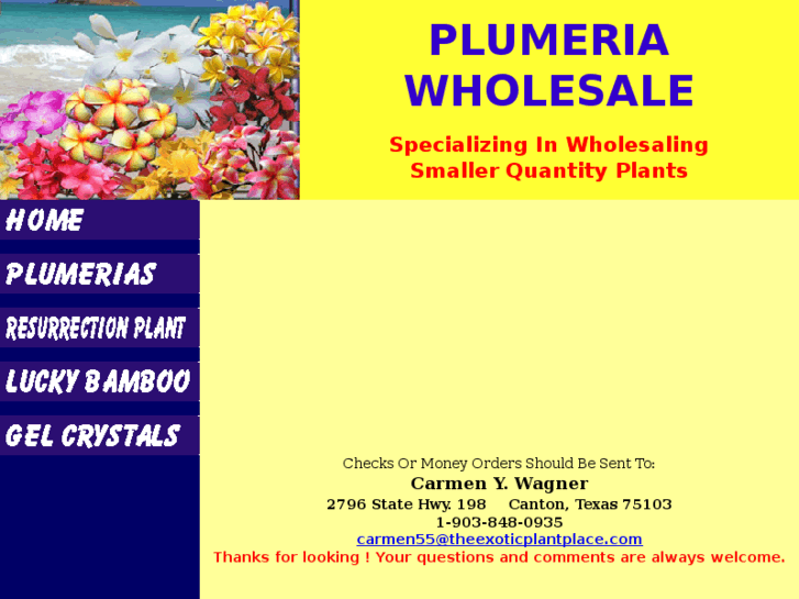 www.plumeriawholesale.com