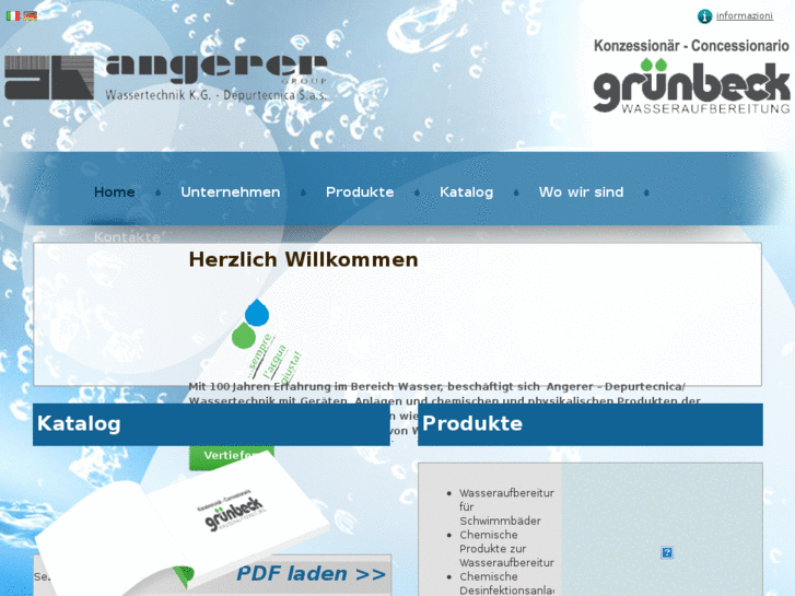 www.angererdepurtecnicawasseraufbereitung.com