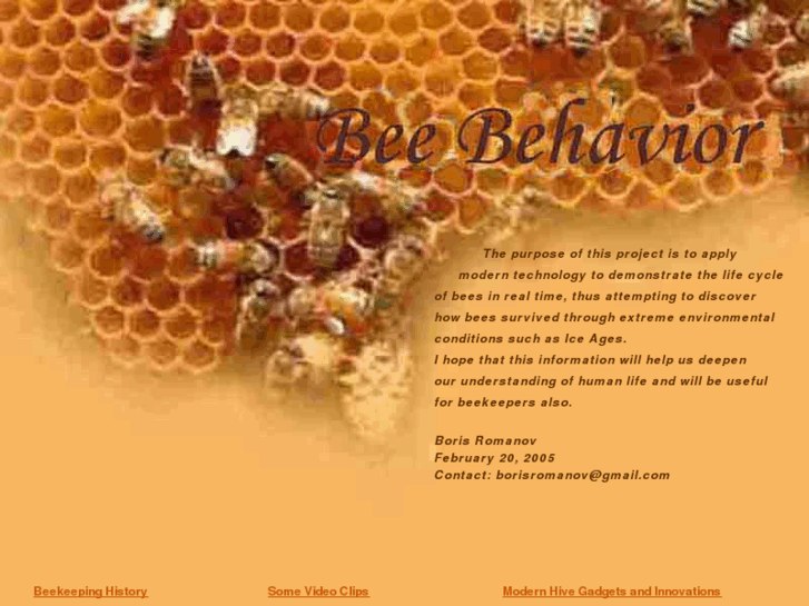 www.beebehavior.com