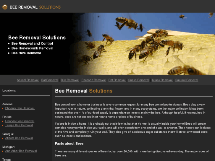 www.beeremovalsolutions.info