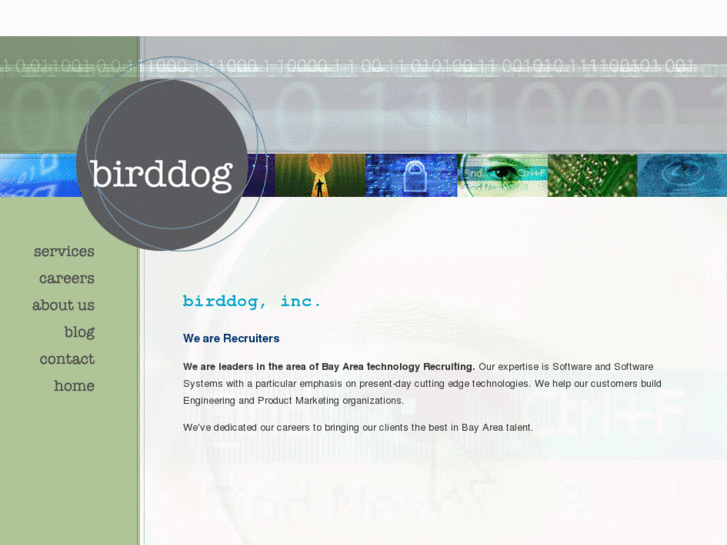 www.birddogstaffing.com