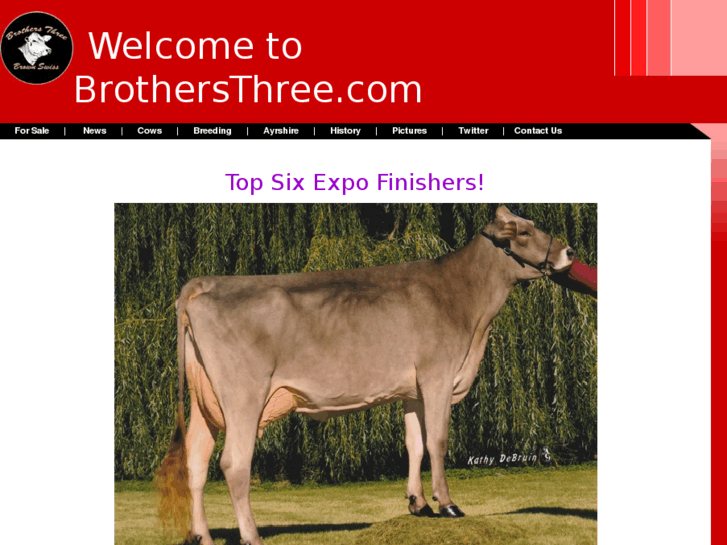 www.brothersthree.com