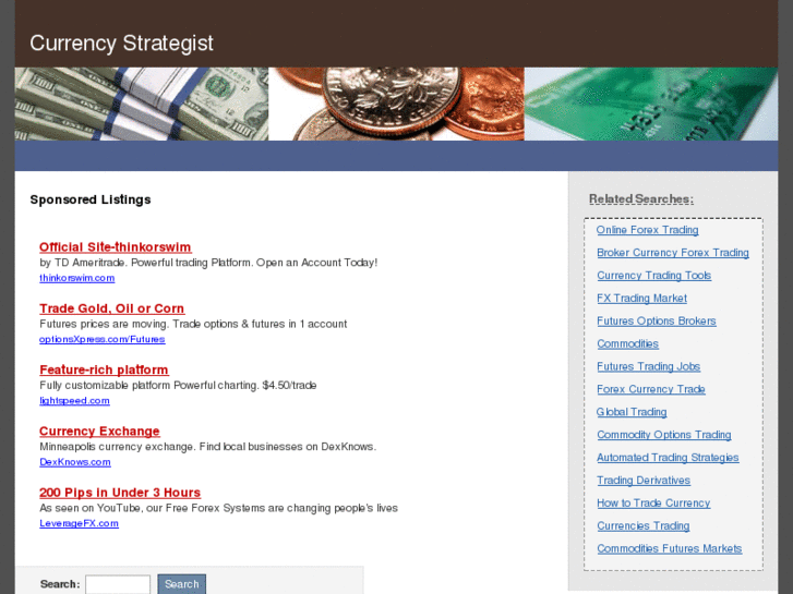 www.currencystrategist.com