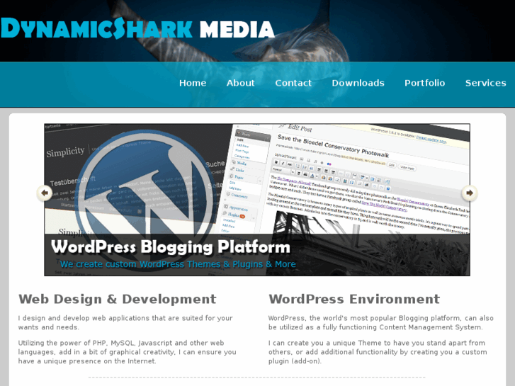 www.dynamicshark.com