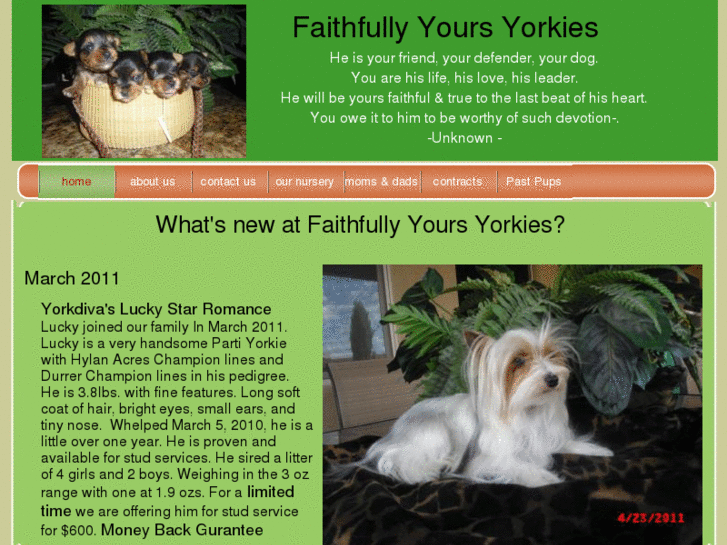 www.faithfullyyoursyorkies.com