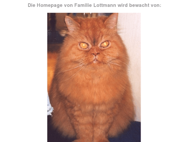 www.lottmann-online.de