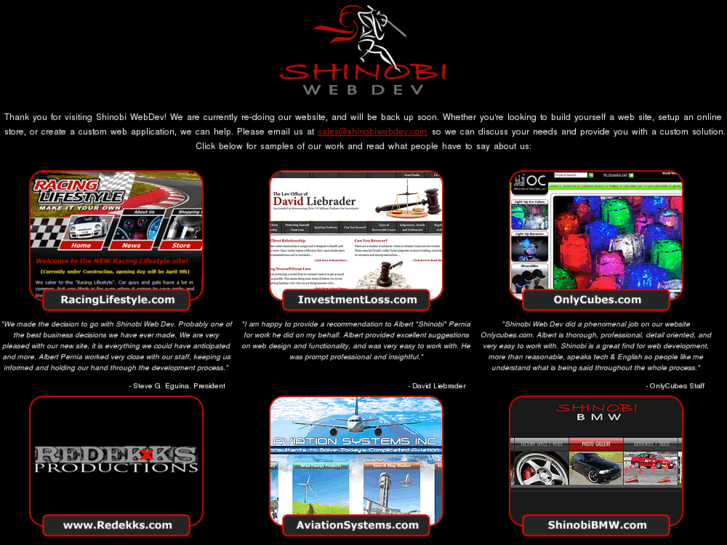 www.shinobiwebdev.com