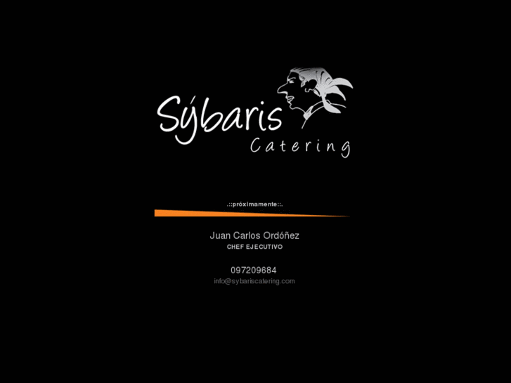 www.sybariscatering.com
