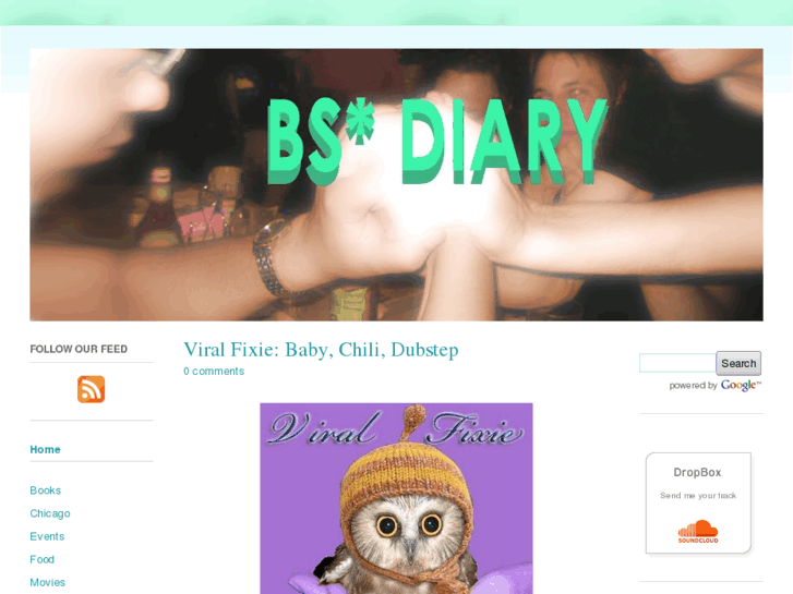 www.bsdiary.com