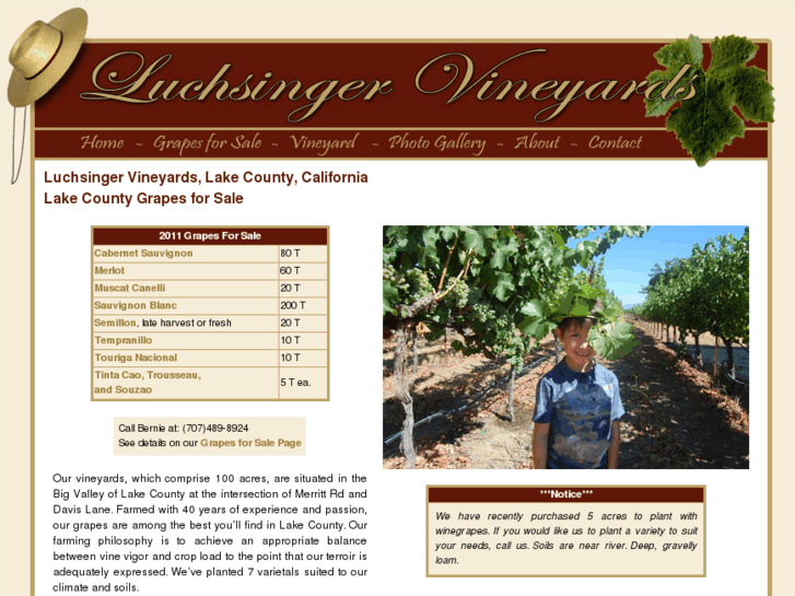 www.luchsingervineyards.com