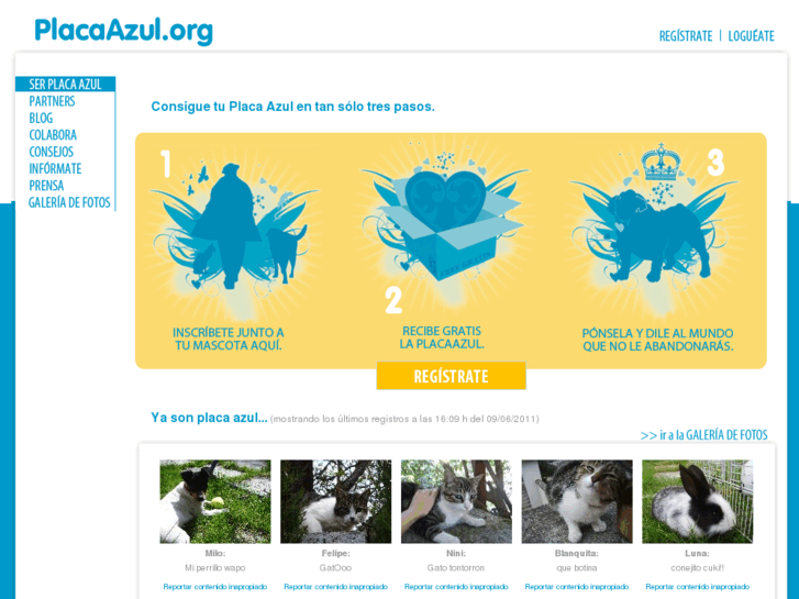 www.placaazul.com