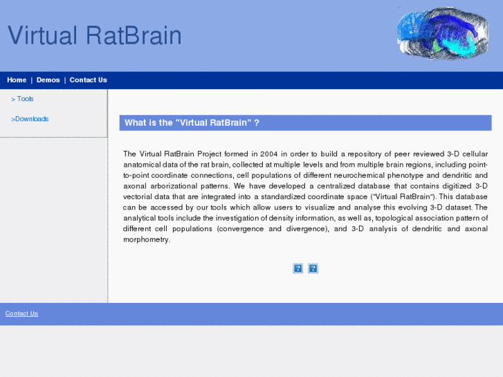 www.virtualratbrain.org