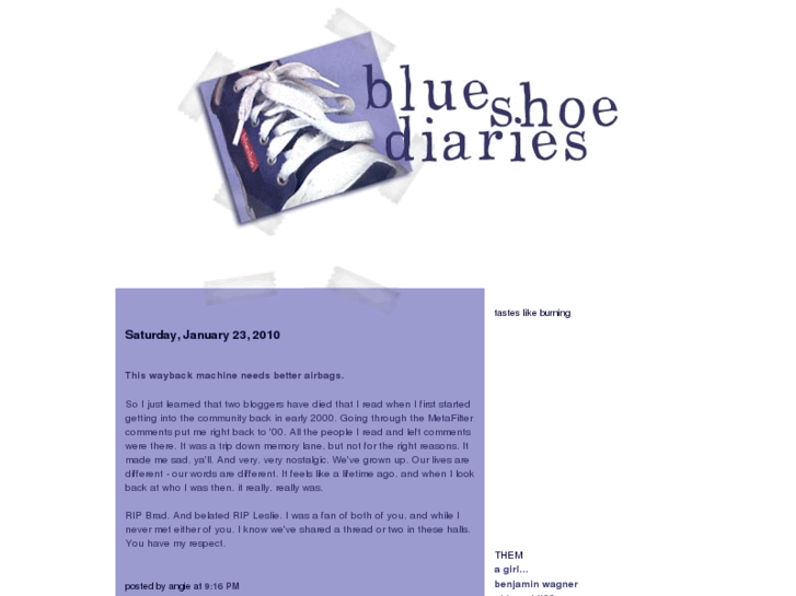 www.blueshoediaries.com