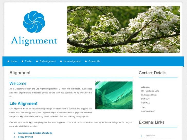 www.lifealignmentlondon.com