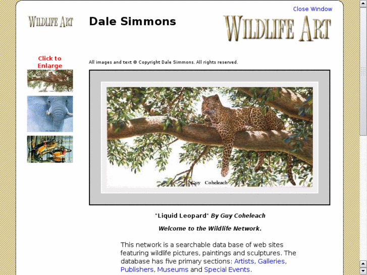 www.wildlife-network.com