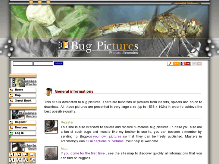 www.bugpics.com