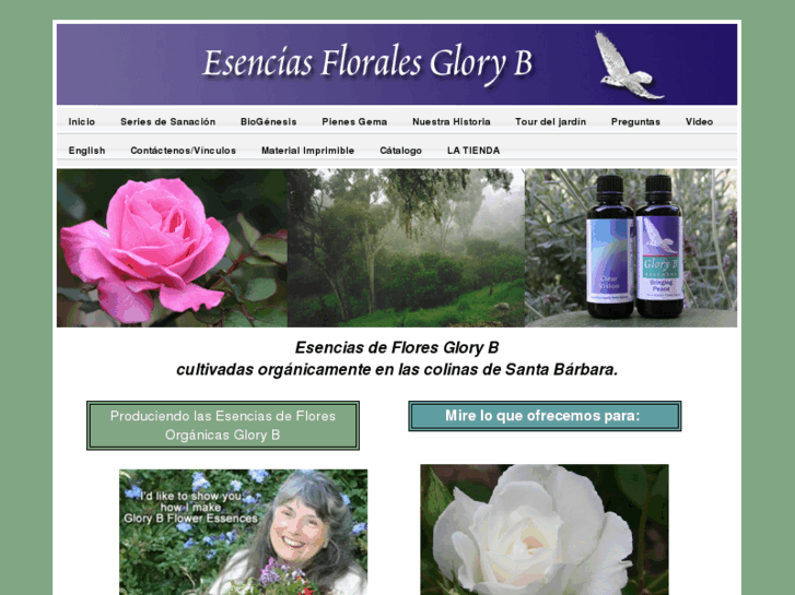 www.esenciasfloralesgloryb.com