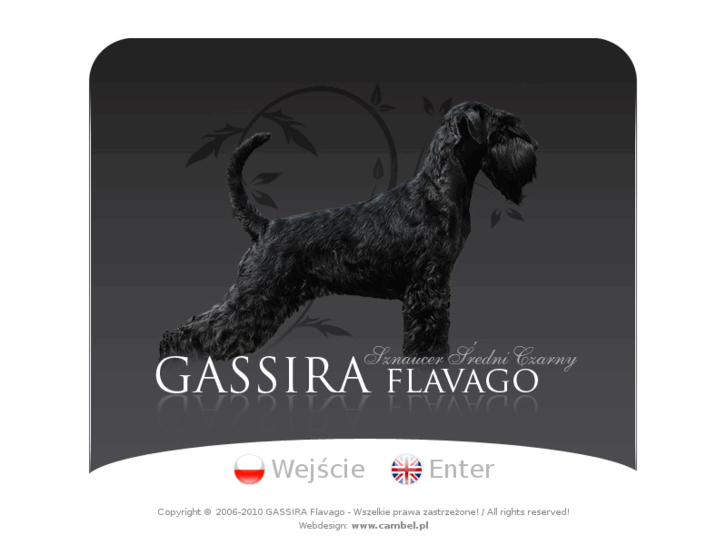 www.gassira-flavago.com