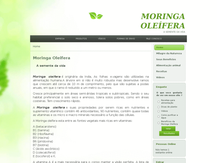 www.moringaseimei.com