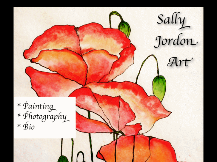 www.sallyjordonart.com