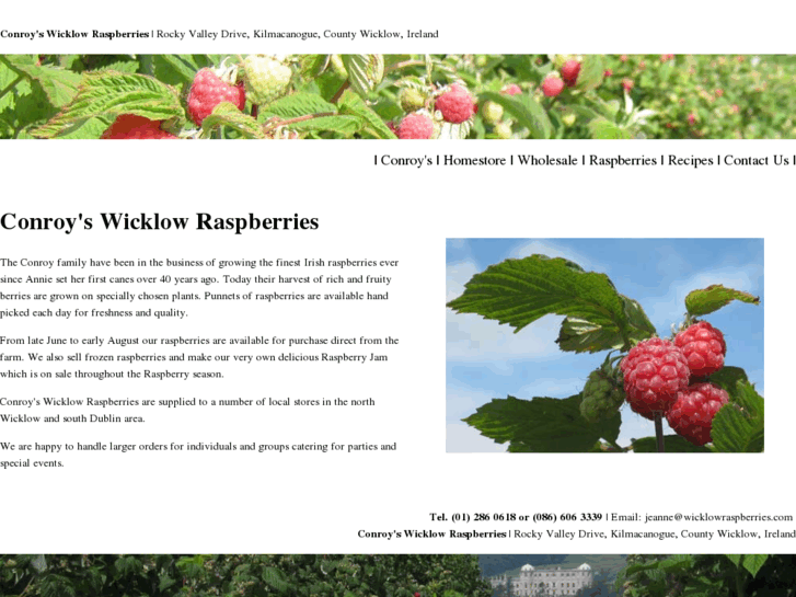 www.wicklowraspberries.com