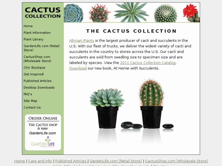 www.cactuscollection.com